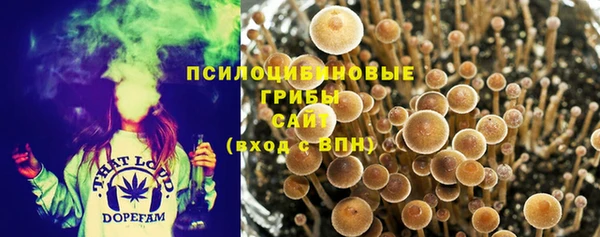 крисы Володарск