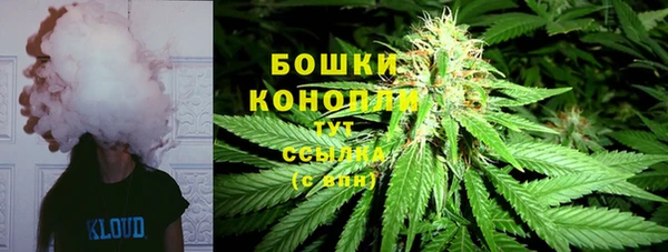 крисы Володарск
