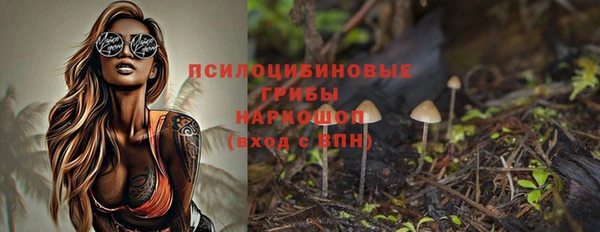 крисы Володарск