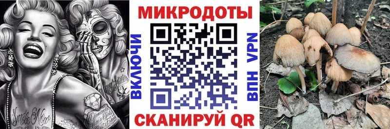 Псилоцибиновые грибы мицелий  закладка  Батайск 